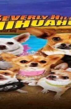 فيلم Beverly Hills Chihuahua 3: Viva la Fiesta! 2012 مترجم