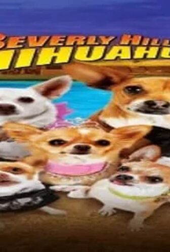 فيلم Beverly Hills Chihuahua 3: Viva la Fiesta! 2012 مترجم