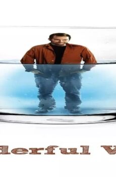فيلم Wonderful World 2009 مترجم