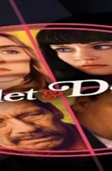 فيلم Violet & Daisy 2011 مترجم
