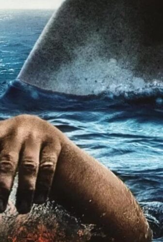 فيلم The Reef 2010 مترجم