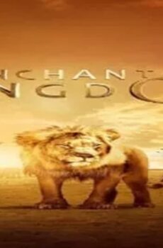 فيلم Enchanted Kingdom 2014 مترجم