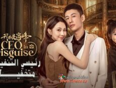 مسلسل رئيسي التنفيذي متخفياً My CEO in Disguise الحلقة 6 السادسة مترجمة