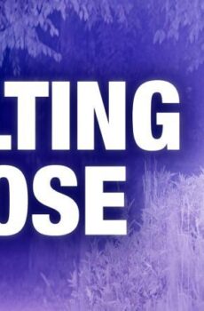 فيلم Wilting Rose 2025 مترجم