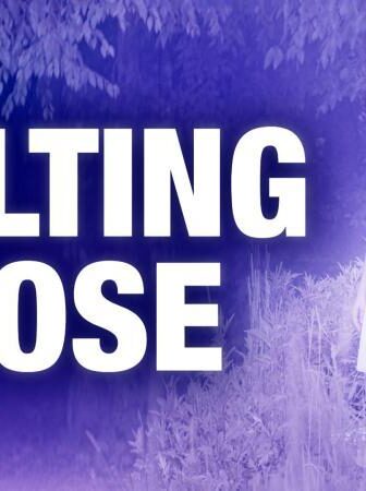 فيلم Wilting Rose 2025 مترجم
