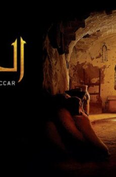 فيلم الجايدة 2017