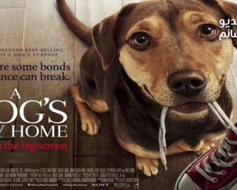 فيلم A Dog’s Way Home 2019 مترجم