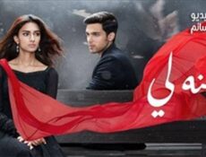 مسلسل سلسل لكنه لي الحلقة 15 مدبلج للعربية