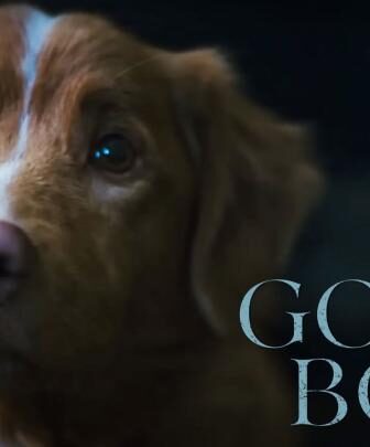 فيلم Good Boy 2025 مترجم (كلب مطيع)