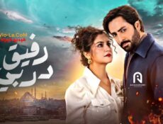 مسلسل Humrahi الحلقة 10 مترجمة