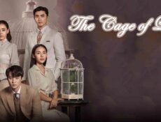 مسلسل The Cage of Love الحلقة 26 السادسة والعشرون مترجمة