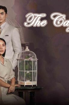 The Cage of Love