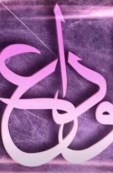مسلسل الوداع الحلقة 12 الثانية عشر