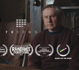 فيلم 73 Cows 2018 مترجم