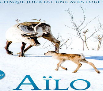 فيلم A Reindeers Journey 2018 مترجم