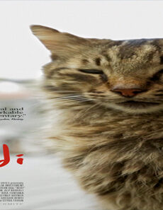 فيلم Kedi 2016 مترجم
