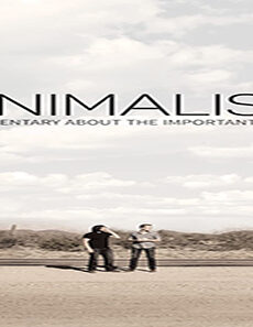 فيلم Minimalism A Documentary About The Important Things 2016 مترجم