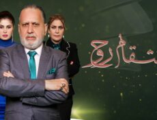 مسلسل انتقام روح الحلقة 20 العشرون