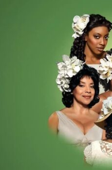 فيلم Steel Magnolias 2012 مترجم