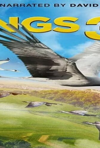 فيلم Wings 2014 مترجم