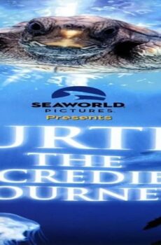 فيلم Turtle: The Incredible Journey 2009 مترجم