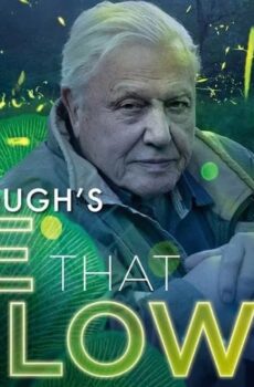 فيلم Attenborough’s Life That Glows 2016 مترجم
