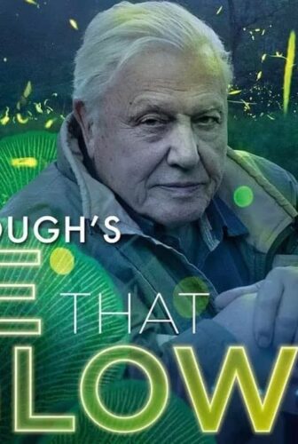 فيلم Attenborough’s Life That Glows 2016 مترجم