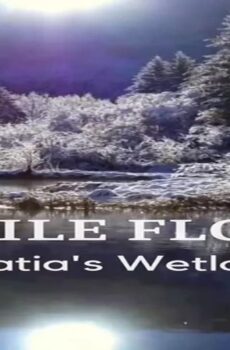 فيلم Fertile Floods: Croatia’s Wetlands 2018 مترجم