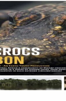 فيلم Cave Crocs of Gabon 2018 مترجم