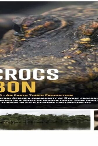 فيلم Cave Crocs of Gabon 2018 مترجم