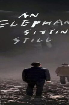 فيلم An Elephant Sitting Still 2018 مترجم