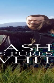 فيلم Ash Is Purest White 2018 مترجم