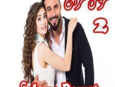 مسلسل العريس الرائع Şahane Damat الحلقة 2
