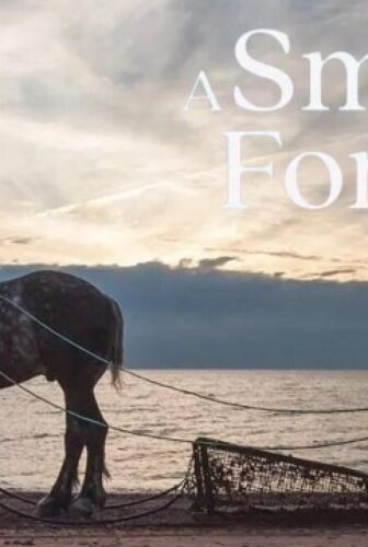فيلم A Small Fortune 2022 مترجم