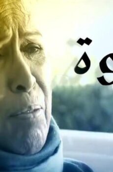 مسلسل الجدة لولوة الحلقة 29 التاسعة والعشرون