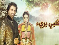 مسلسل قلبي برىء الحلقة 8 الثامنة مدبلجة