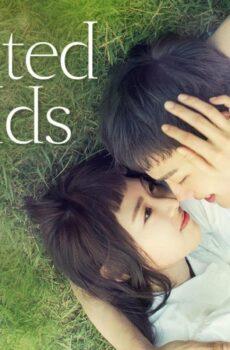 Reunited Worlds