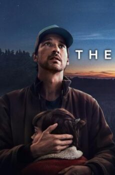The Signal