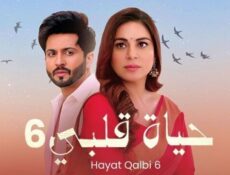 مسلسل حياة قلبي الموسم 6 الحلقة 36 السادسة والثلاثون مدبلجة