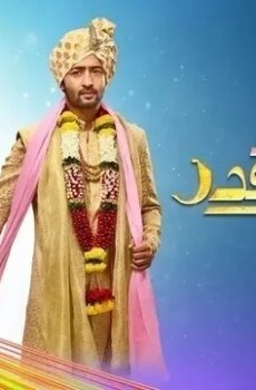 شاء القدر