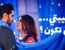 مسلسل حبيبتي من تكون الموسم 3 الحلقة 32 الثانية والثلاثون مدبلجة
