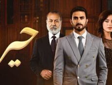مسلسل حيرة الحلقة 29 التاسعة والعشرون