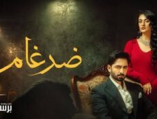 مسلسل ضرغام الحلقة 35 الخامسة والثلاثون مدبلج