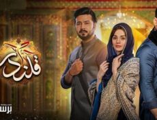 مسلسل قلندر الحلقة 16 السادسة عشر مدبلج