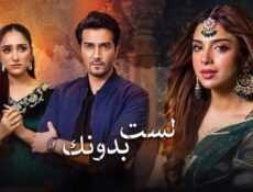 مسلسل لست بدونك الحلقة 22 الثانية والعشرون مدبلج