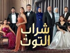 مسلسل شراب التوت الموسم 3 الحلقة 124 مدبلج