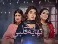 مسلسل نهاية قلبي الحلقة 14 الرابعة عشر مدبلج