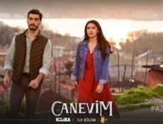 مسلسل قلبي الحلقة 2 الثانية مترجمة بالعربية