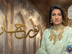 مسلسل نور جهان الحلقة 32 الثانية والثلاثون مدبلج