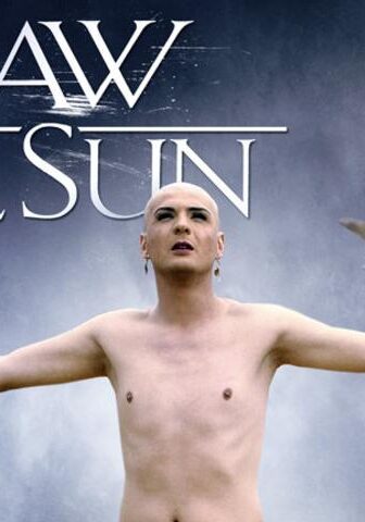 فيلم Günesi Gördüm 2009 مترجم